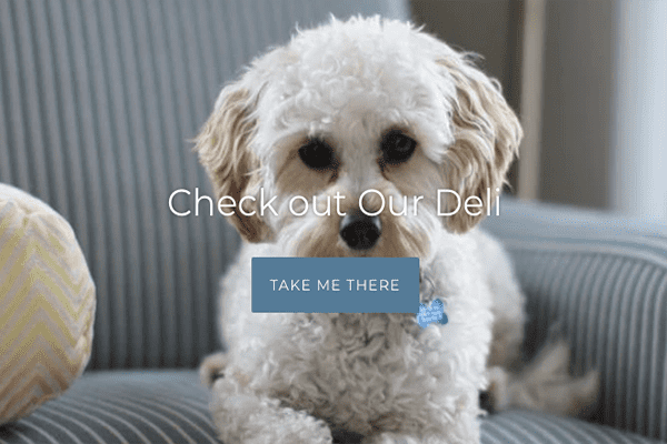 Pet Treats Wholesale: one SME that has grown in 2020
