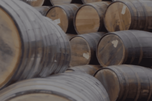 Bladnoch Distillery: blending history and technology