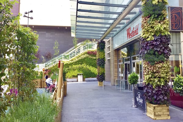 The store of the future is set to look different (Image: Westfield)