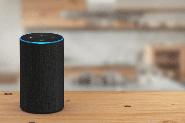 Amazon already makes devices such as the Amazon Echo (pictured). Image: Fotolia