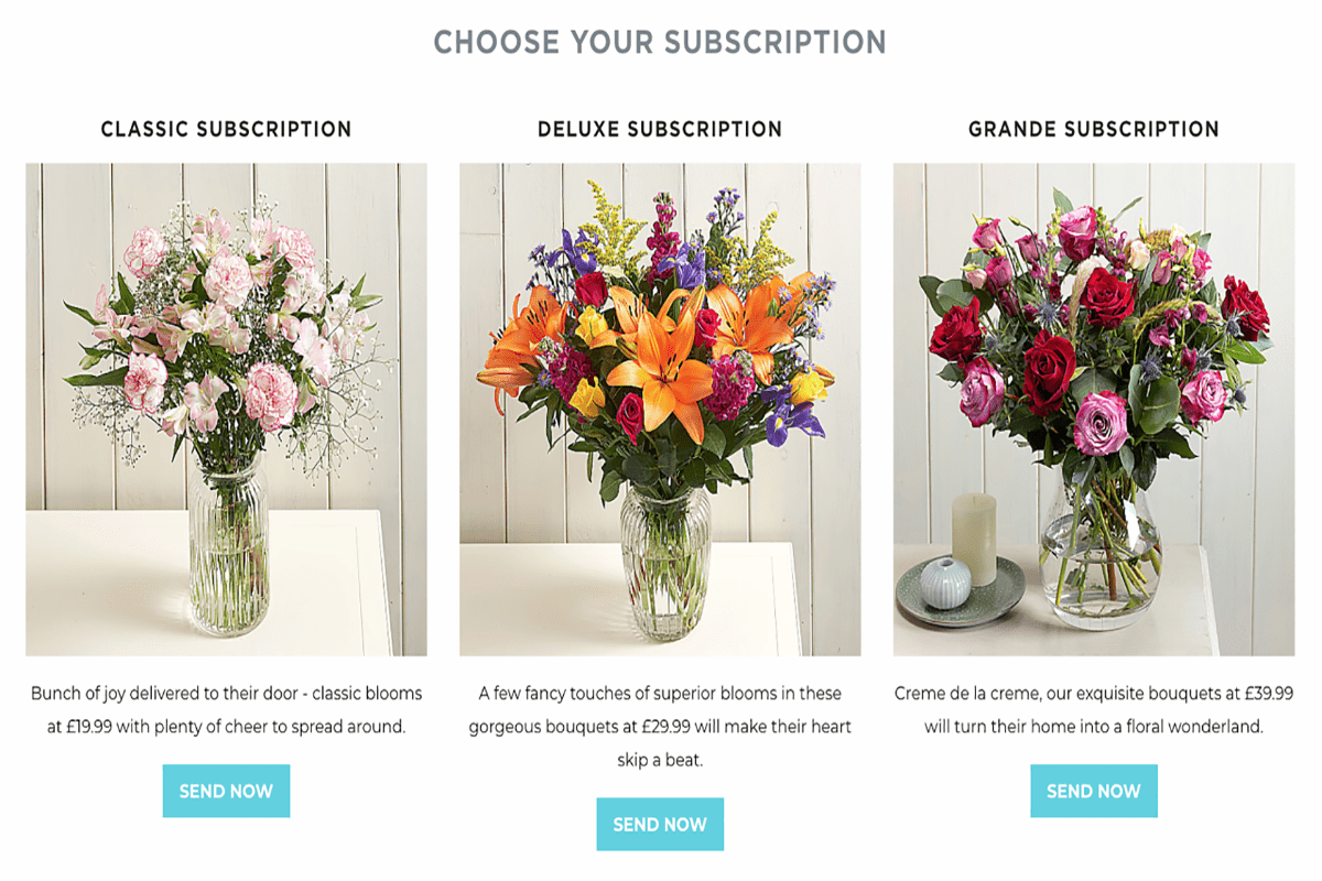 In the pink: florist offers subs service to keep homes in bloom