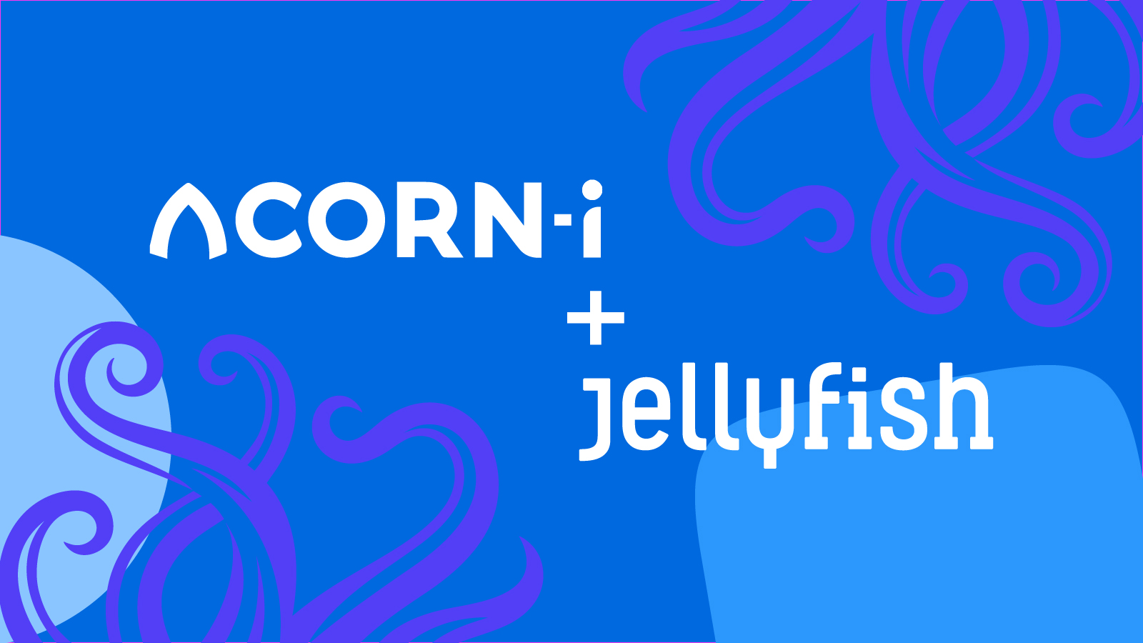 Jellyfish_Acorn-i__1600x900px-100