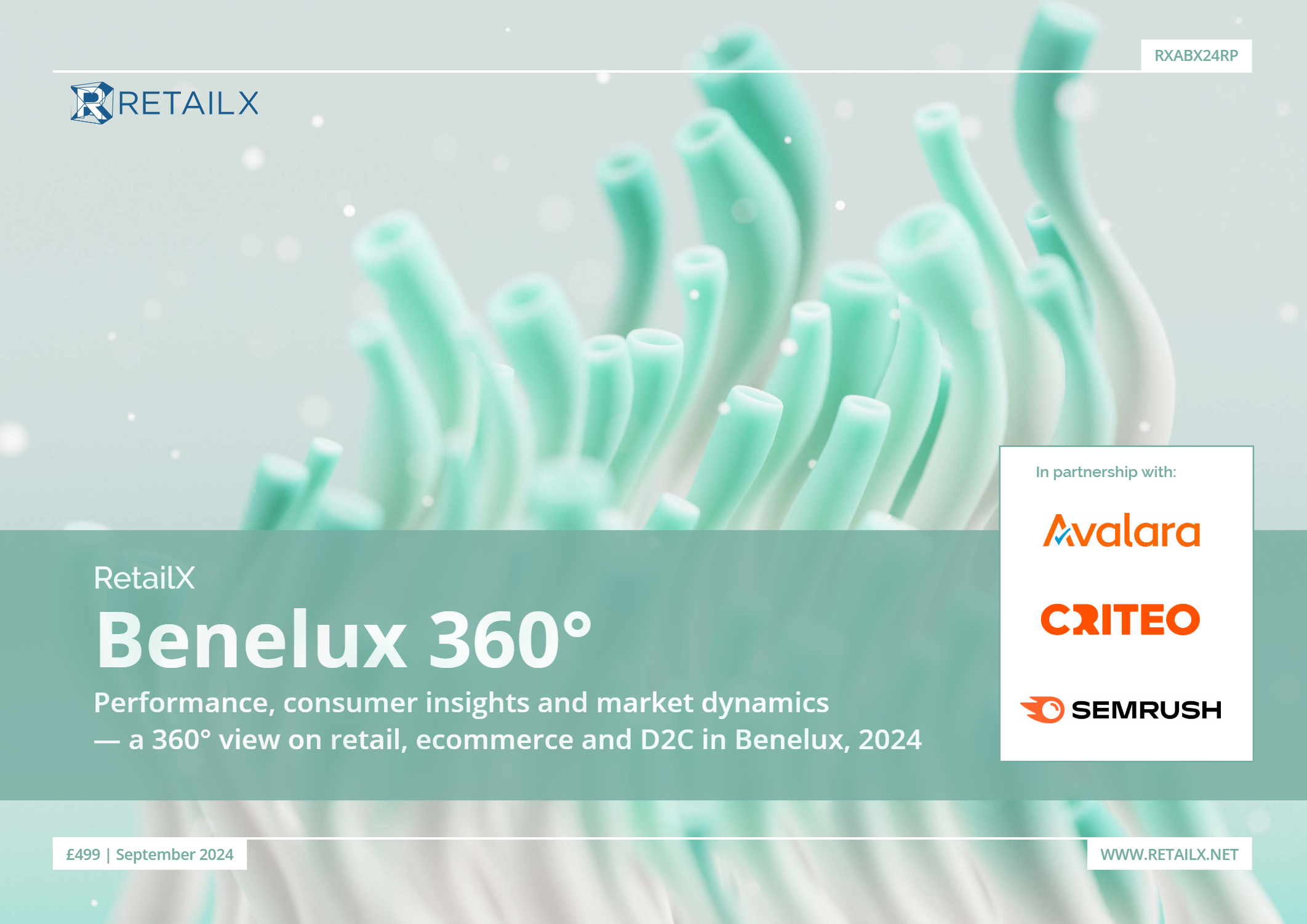 RetailX Benelux 360° 2024 Report - InternetRetailing