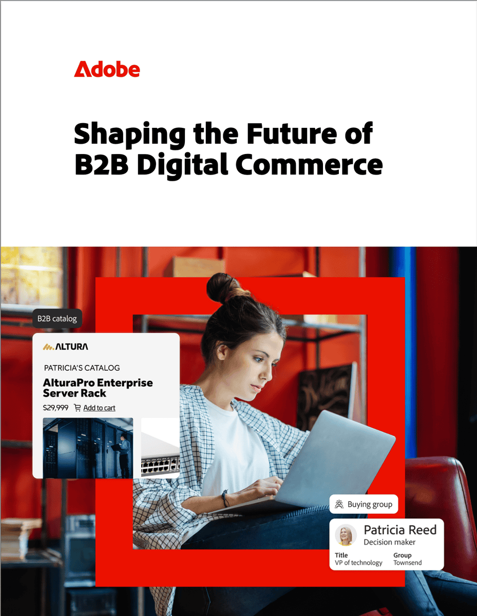Shaping The Future of B2B Digital Commere