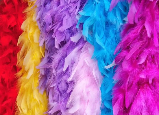 AdobeStock_222254655 (1)