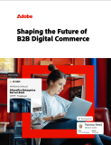 Shaping The Future of B2B Digital Commere